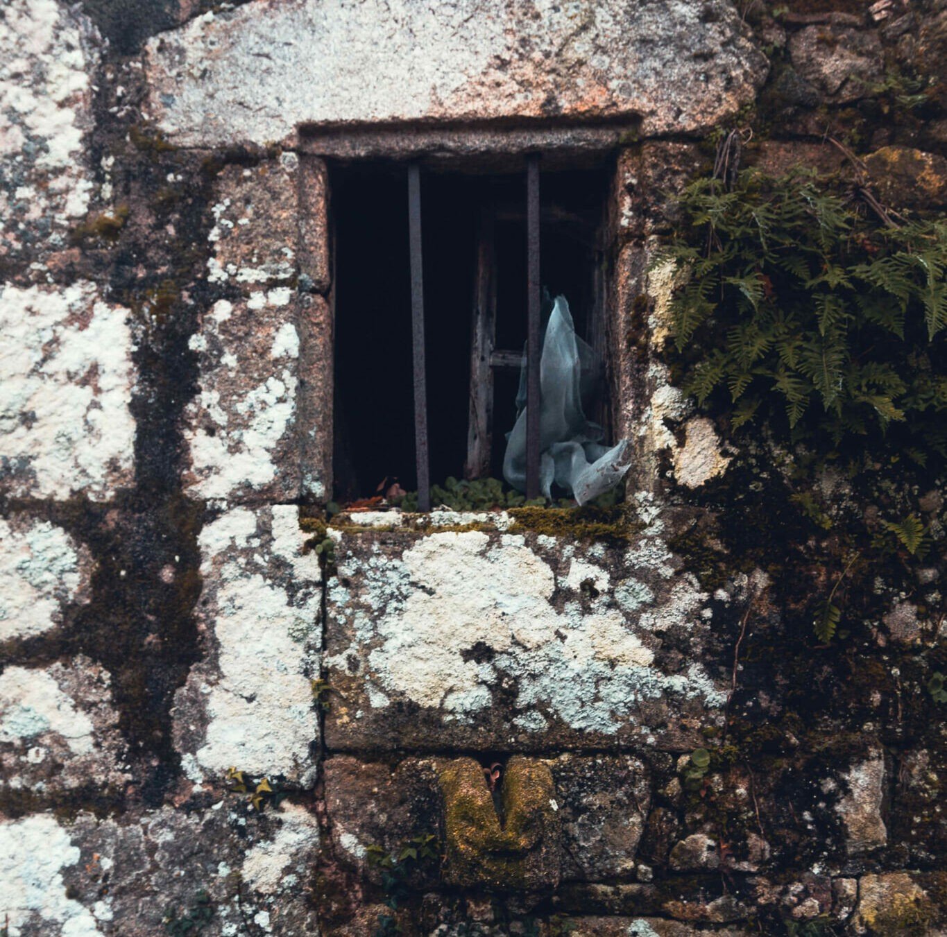 Rehabilitar casa de piedra en ruinas muros