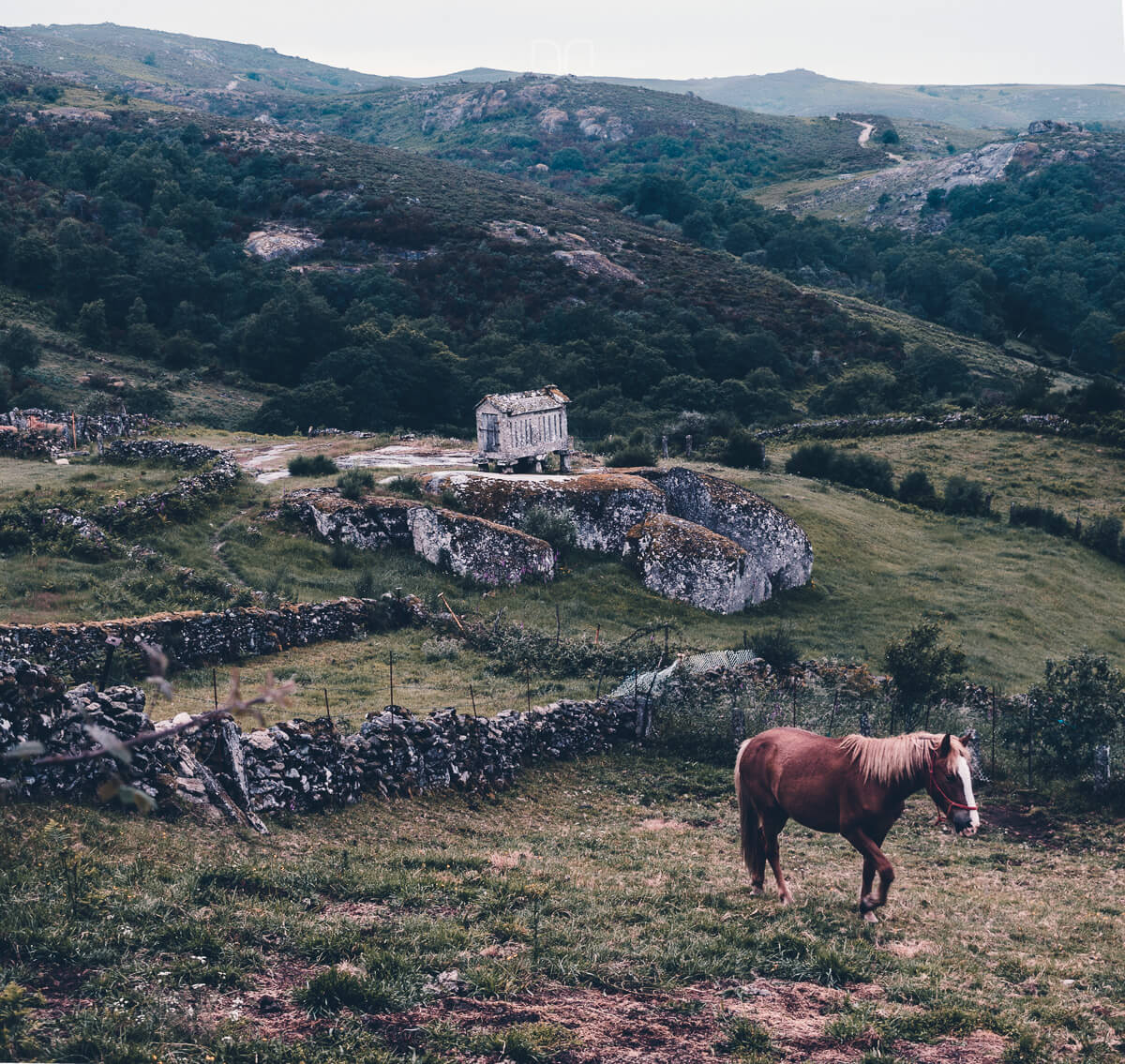 Rehabilitar-casa-de-piedra-en-ruinas-paisaje