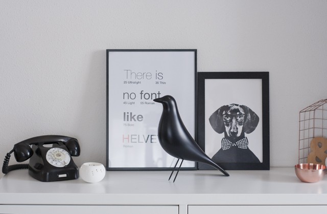Eames house bird con marcos negros