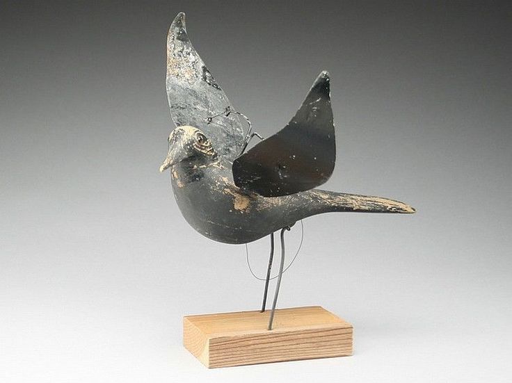 Pájaro de Charles Perdew